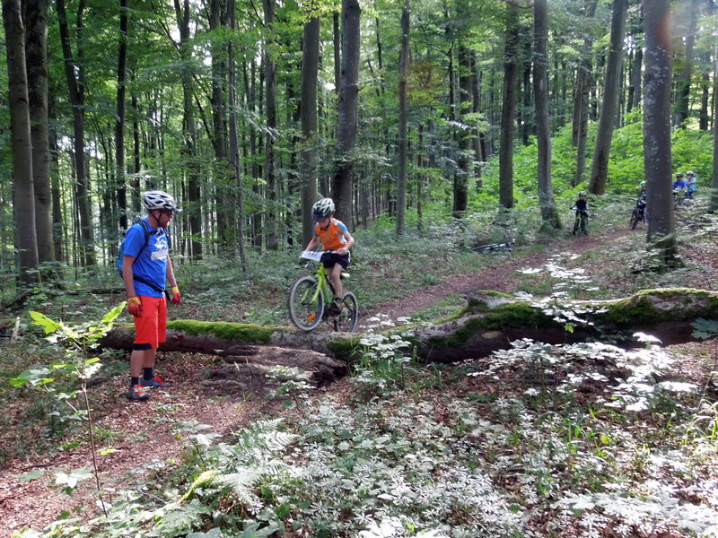 Jugendtraining
