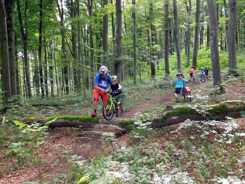 Jugendtraining