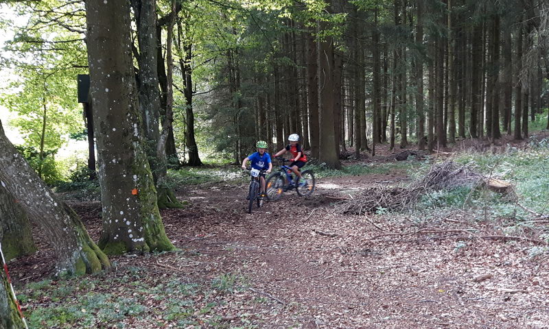 Jugendtraining