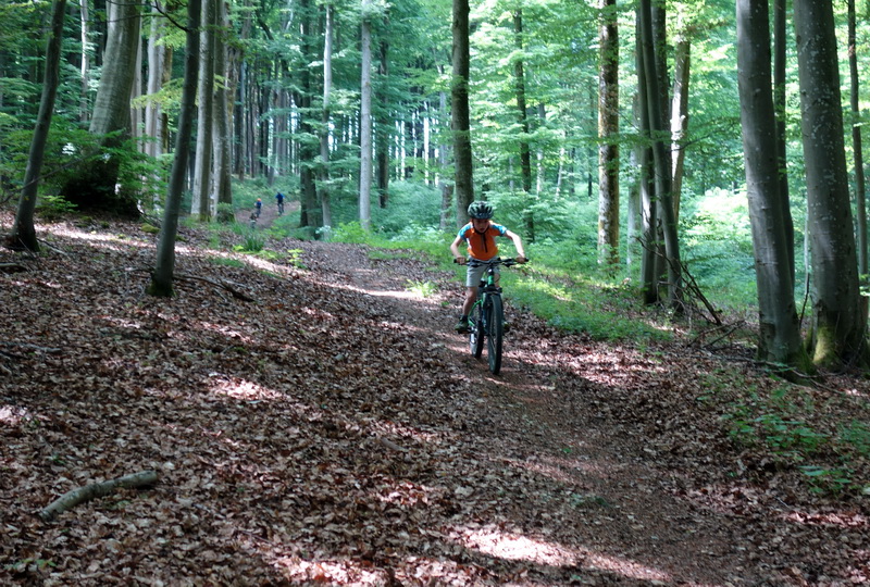 Jugend-Training