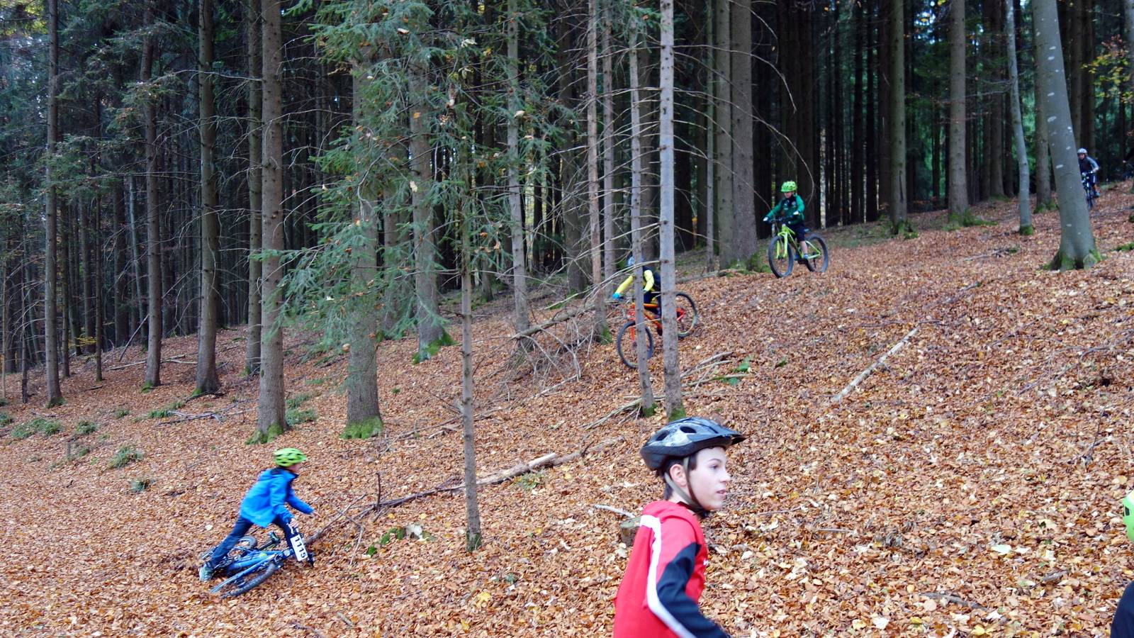 Jugend-Training