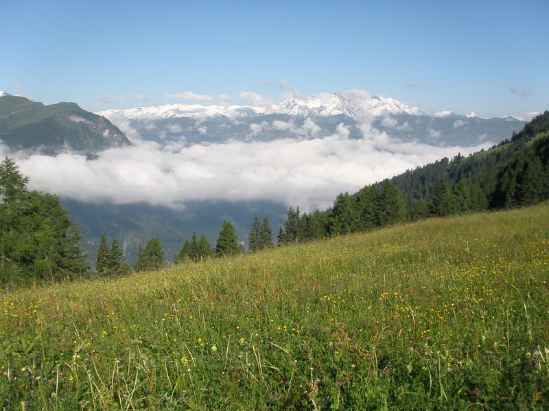 Graubünden 2008