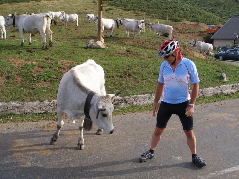 Rennrad-Tour
