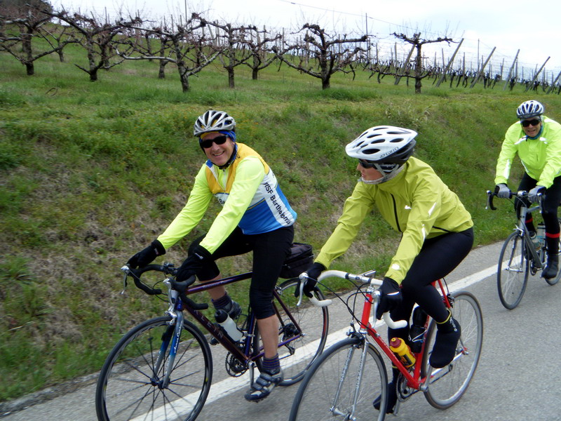 Trainingslager