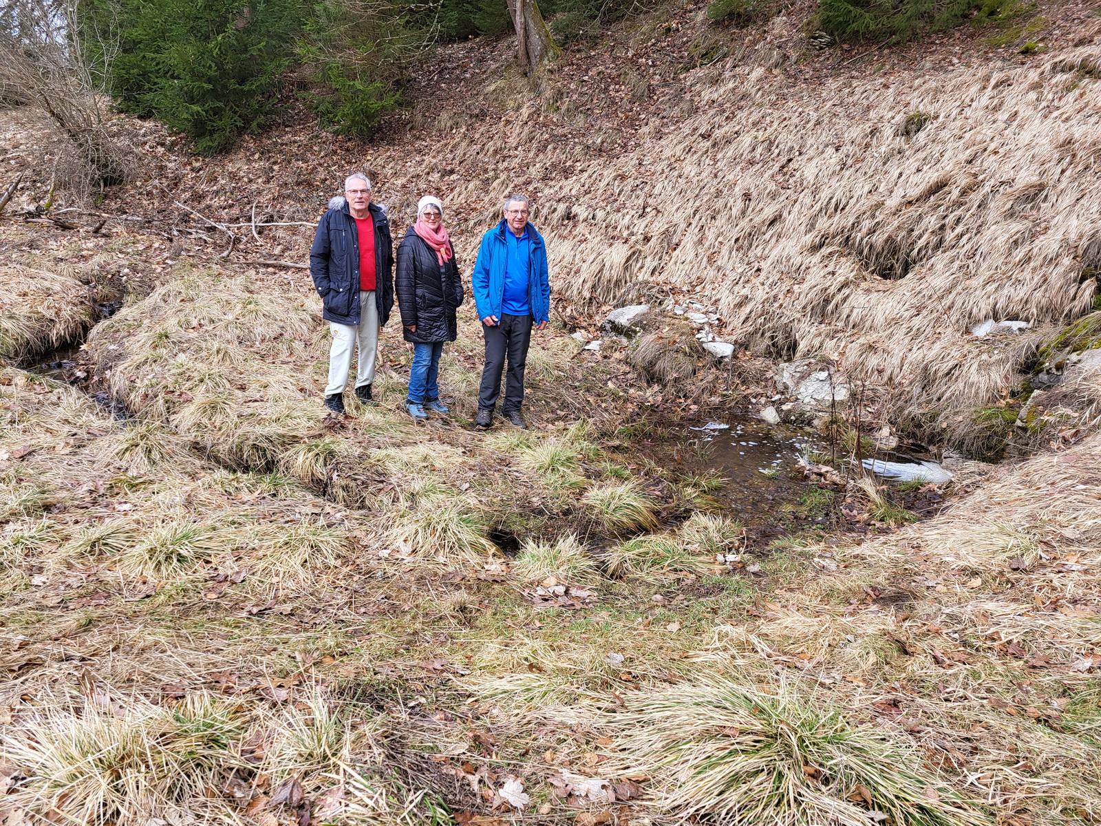 Wanderung nach Lauterburg