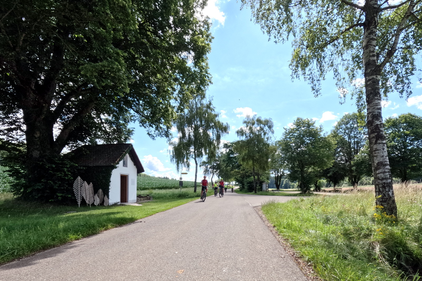 Mittwochsradler auf MTB-Tour