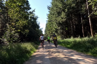 MTB-Tour über die Heiderose ins Kühholz