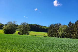Mittwochsradler auf Festtagstour