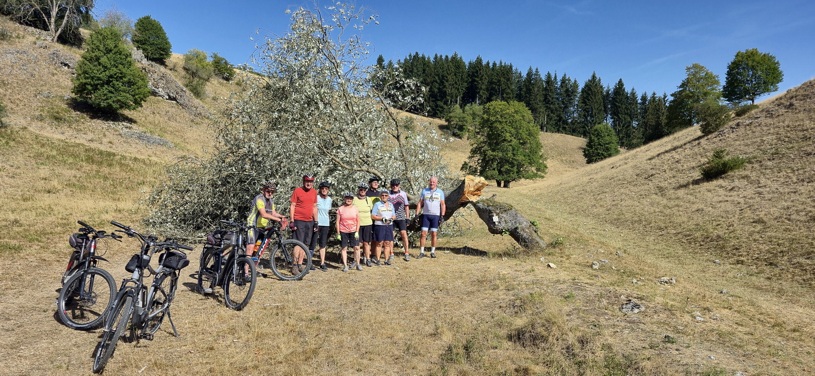 MTB-Tour durchs Mauertal ins Kühholz