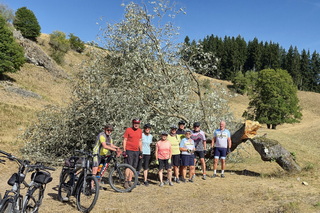 MTB-Tour durchs Mauertal ins Kühholz