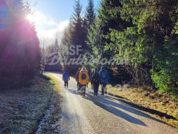 04.01.2024 - Wanderung nach Tauchenweiler