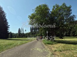 31.07.2024 - Mittwochsradler unterwegs nach Zähringen