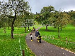 28.09.2024 - Birnenernte auf dem Lauchhof