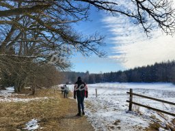 19.02.2025 - Wanderung nach Tauchenweiler