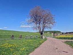 30.04.2025 - Mittwochsradler auf Kaffeefahrt in Heuchstetten